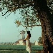 Върба/Willow